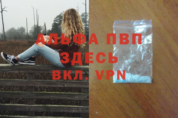 прущие крисы Белокуриха