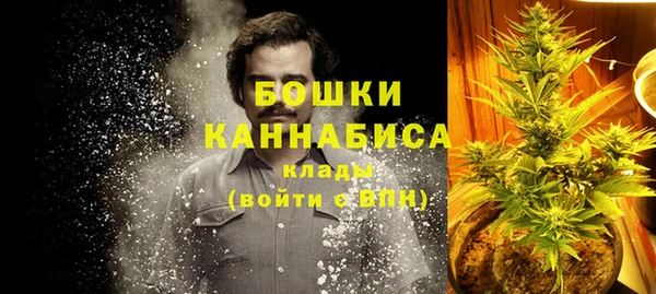 прущие крисы Белокуриха