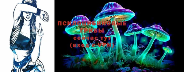 прущие крисы Белокуриха